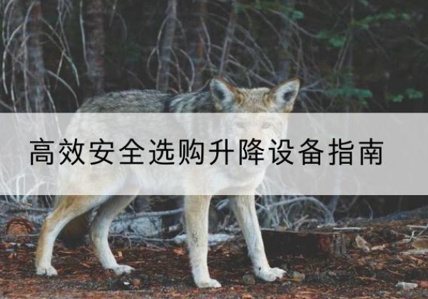 庄河升降货梯厂家推荐-*安全选购升降设备指南