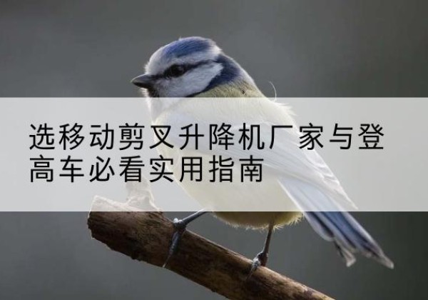 庄河电动升降机厂家-选移动剪叉升降机厂家与登高车必看实用指南
