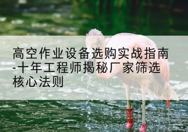 庄河剪叉式升降机厂家-高空作业设备选购实战指南-十年工程师揭秘厂家筛选核心法则